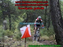 Fotos Noticias 2010